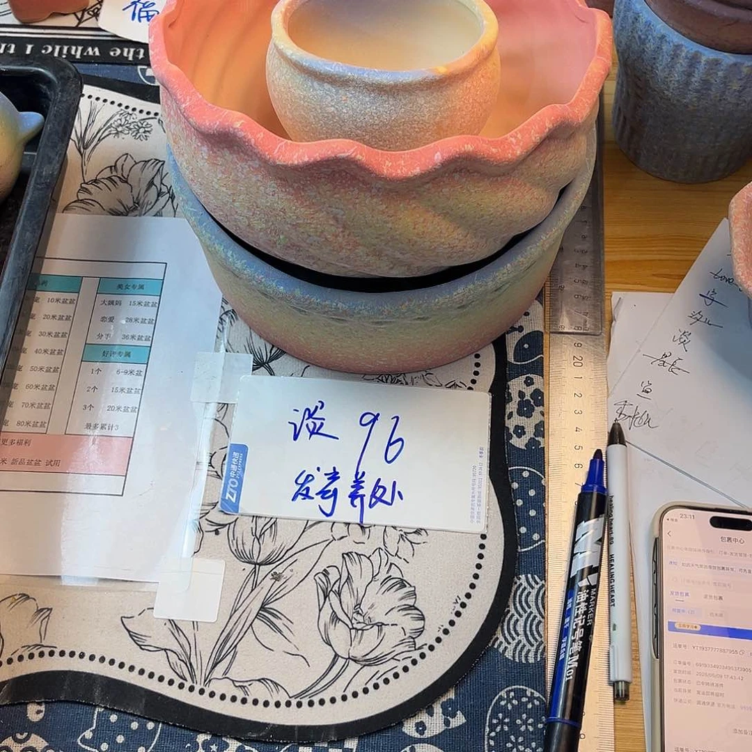 淡淡专属盆盆专拍 发寄养区专属