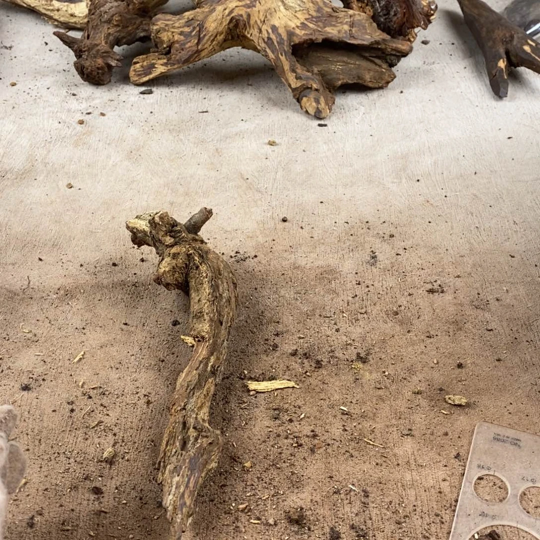 大***，黄花梨/降香黄檀降香黄檀黄花梨