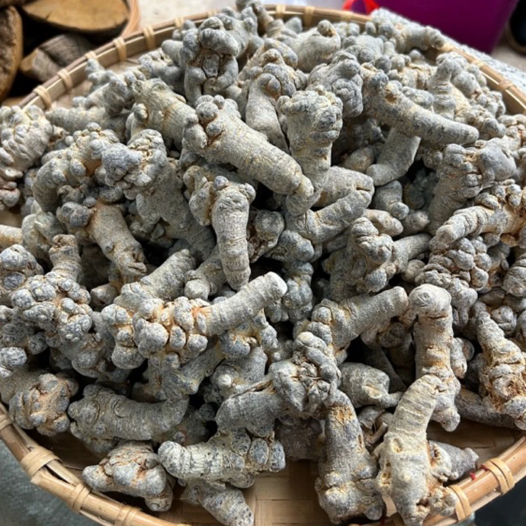 三七  云南赶集收山货   二十头滑头