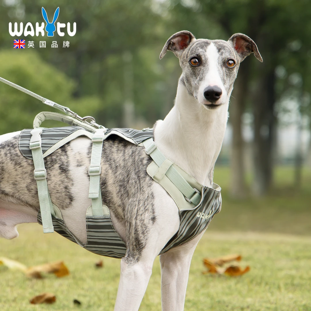 Wakytu英国宠物外出牵引绳背心式可调节胸背防爆冲遛狗绳夜间反光
