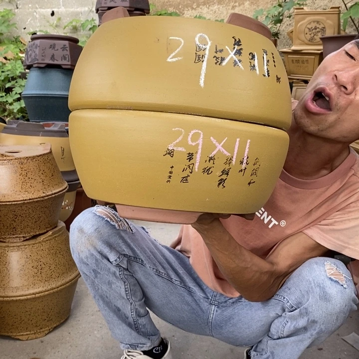 紫砂紫砂紫砂紫砂