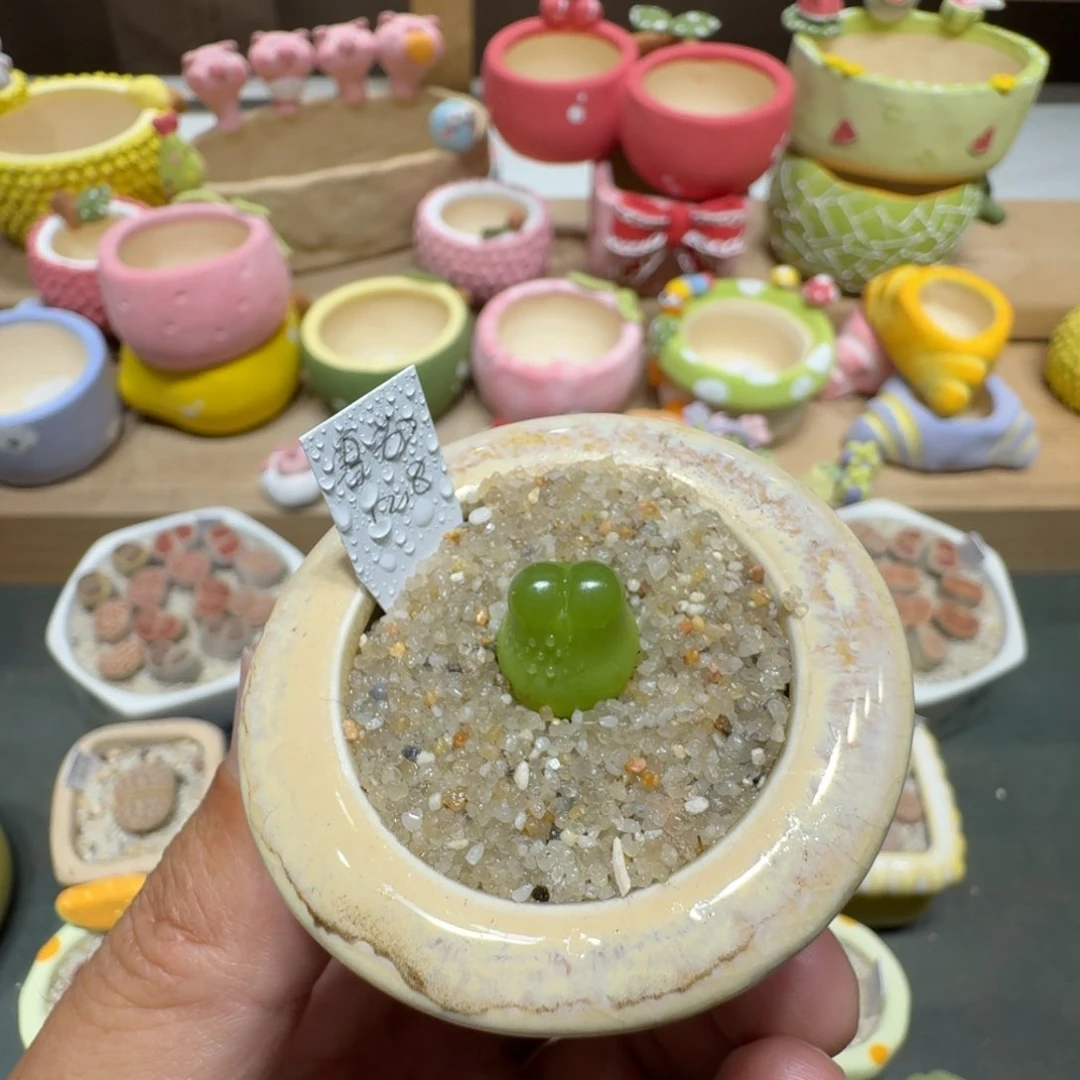 蘑菇218雪茄雪茄雪茄