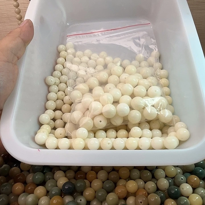 把件菩提根/象牙果