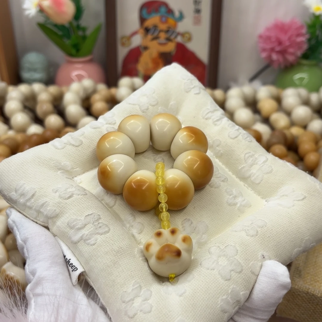 菩提根/象牙果吊坠22干磨牙果晕色山竹706