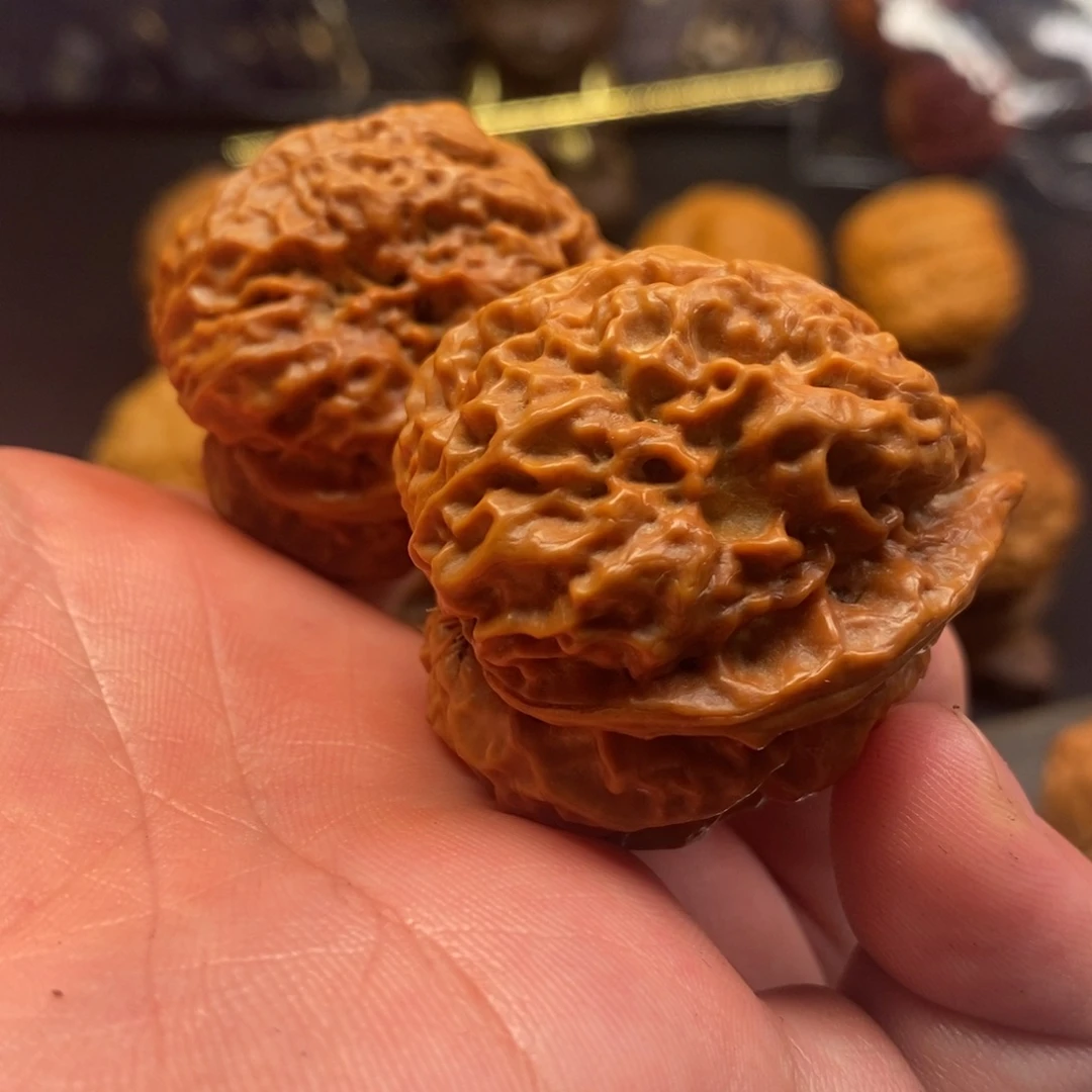 把件文玩核桃霸王龙