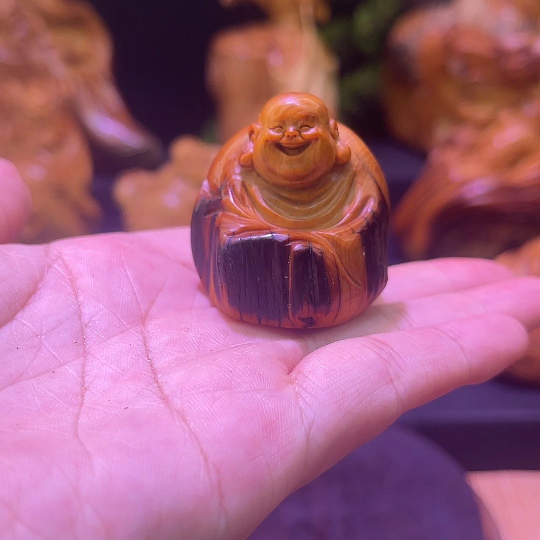 柏木888888888888888888