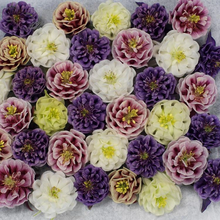 进口大花耧斗菜重瓣闪烁花种子多年庭院室外四季播种花种籽子开花