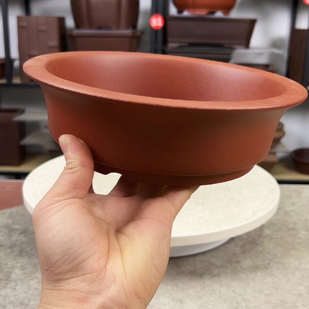 紫砂花盆开*福利价，新年发财！