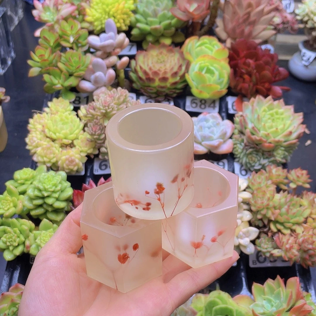 鱼***鱼花钱花钱就去花钱