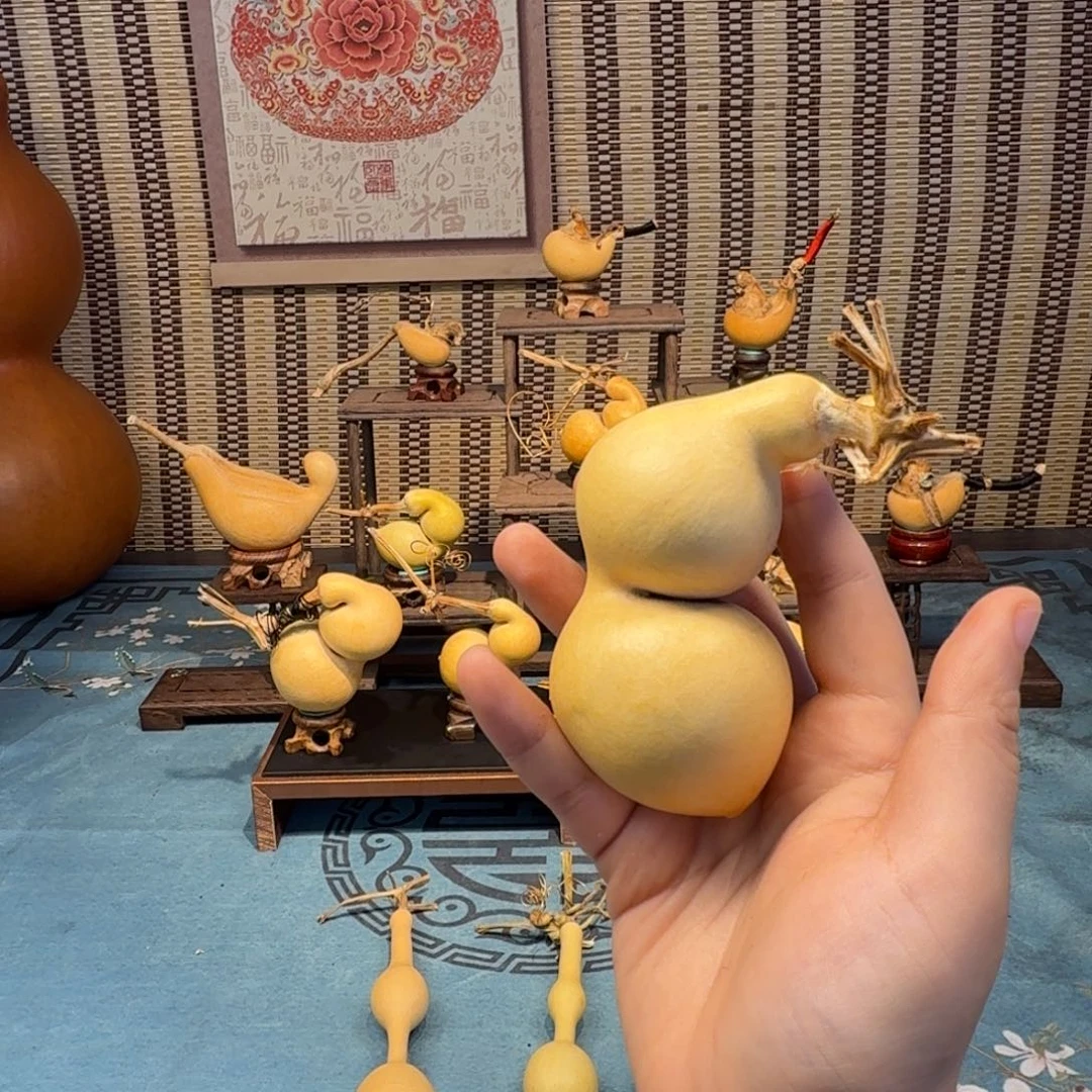 百***钱手把蚂蚁弓背贴肚
