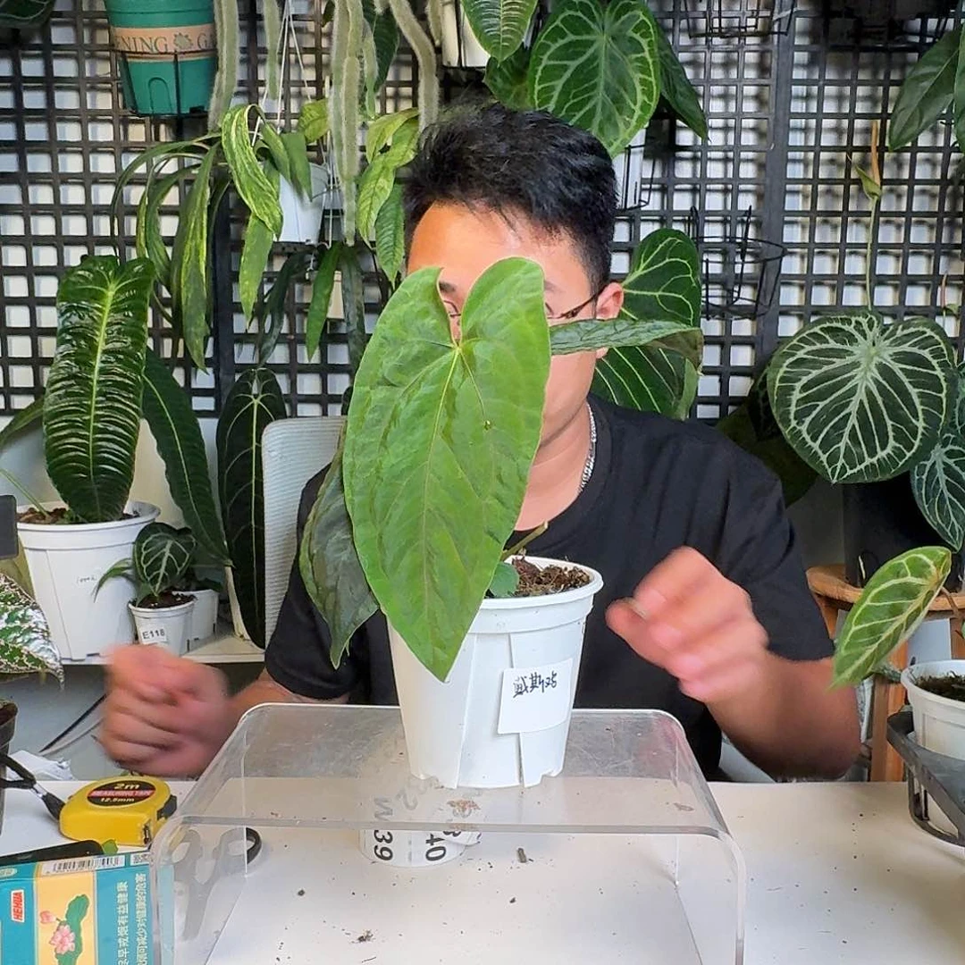 无花朵一物一拍W 27