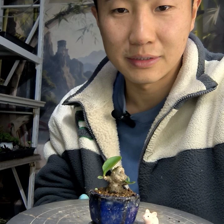 ໑***)中青园艺一物一拍花41