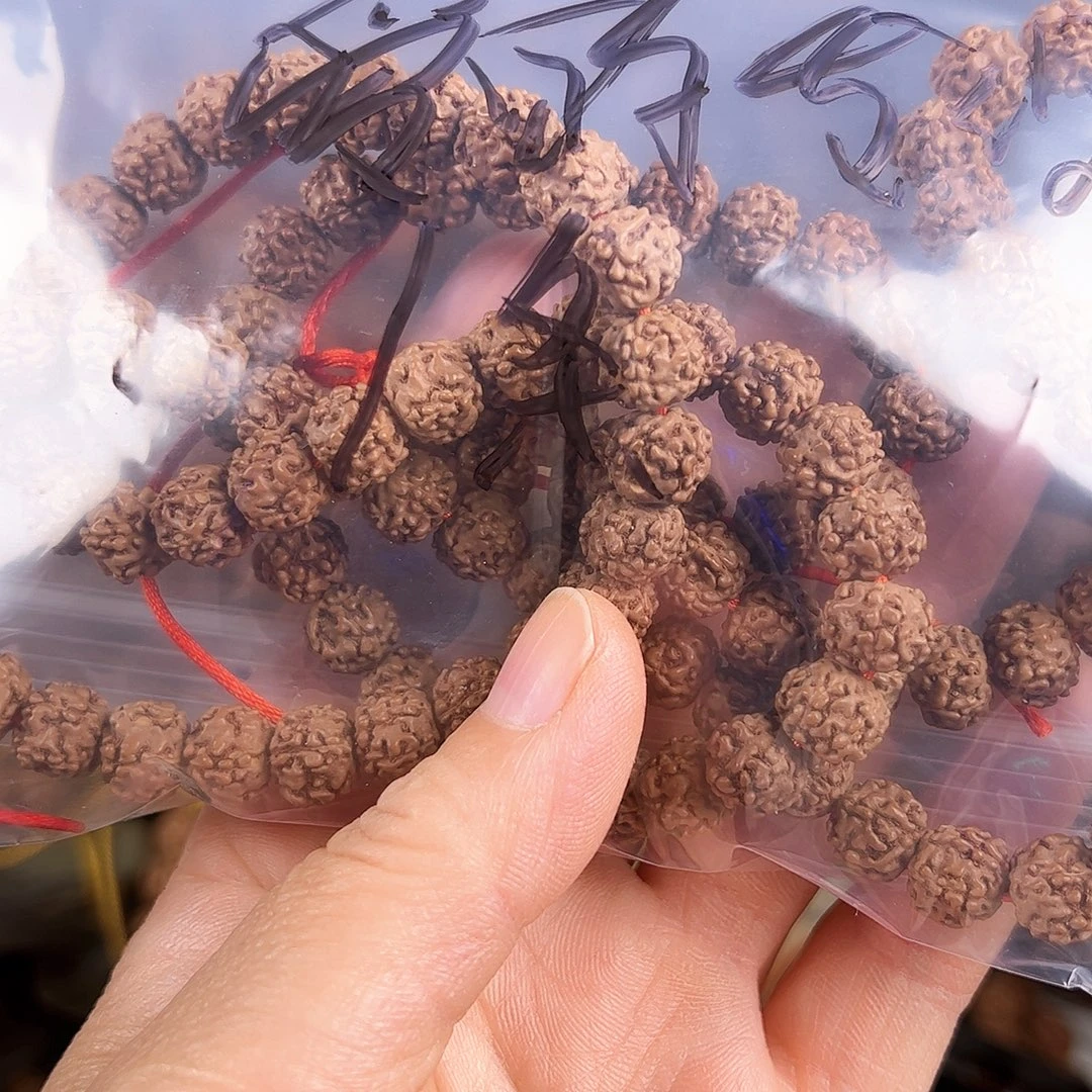 爱***现金刚菩提吊坠野树苍龙1条保手持