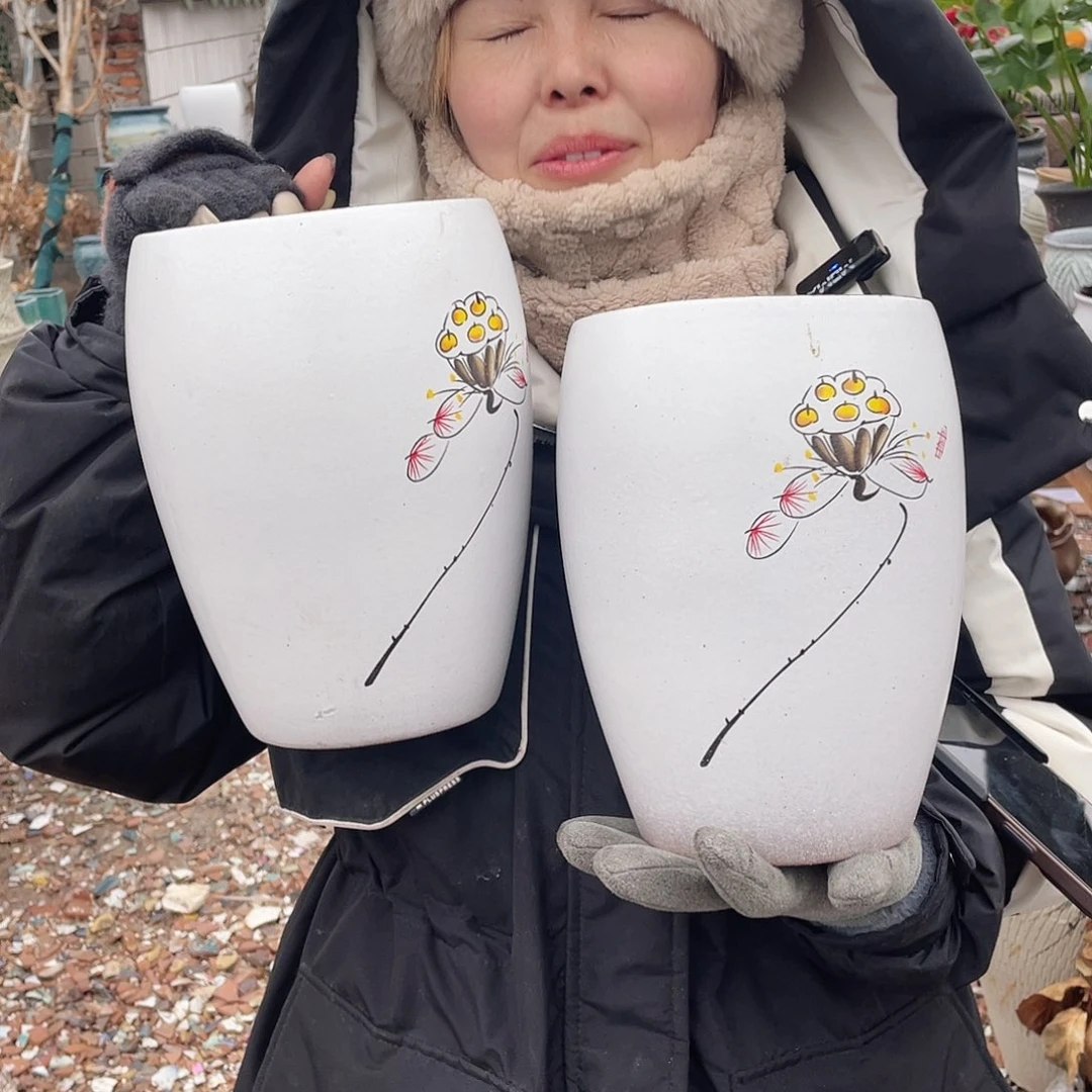 红陶王嫂花盆0201-264