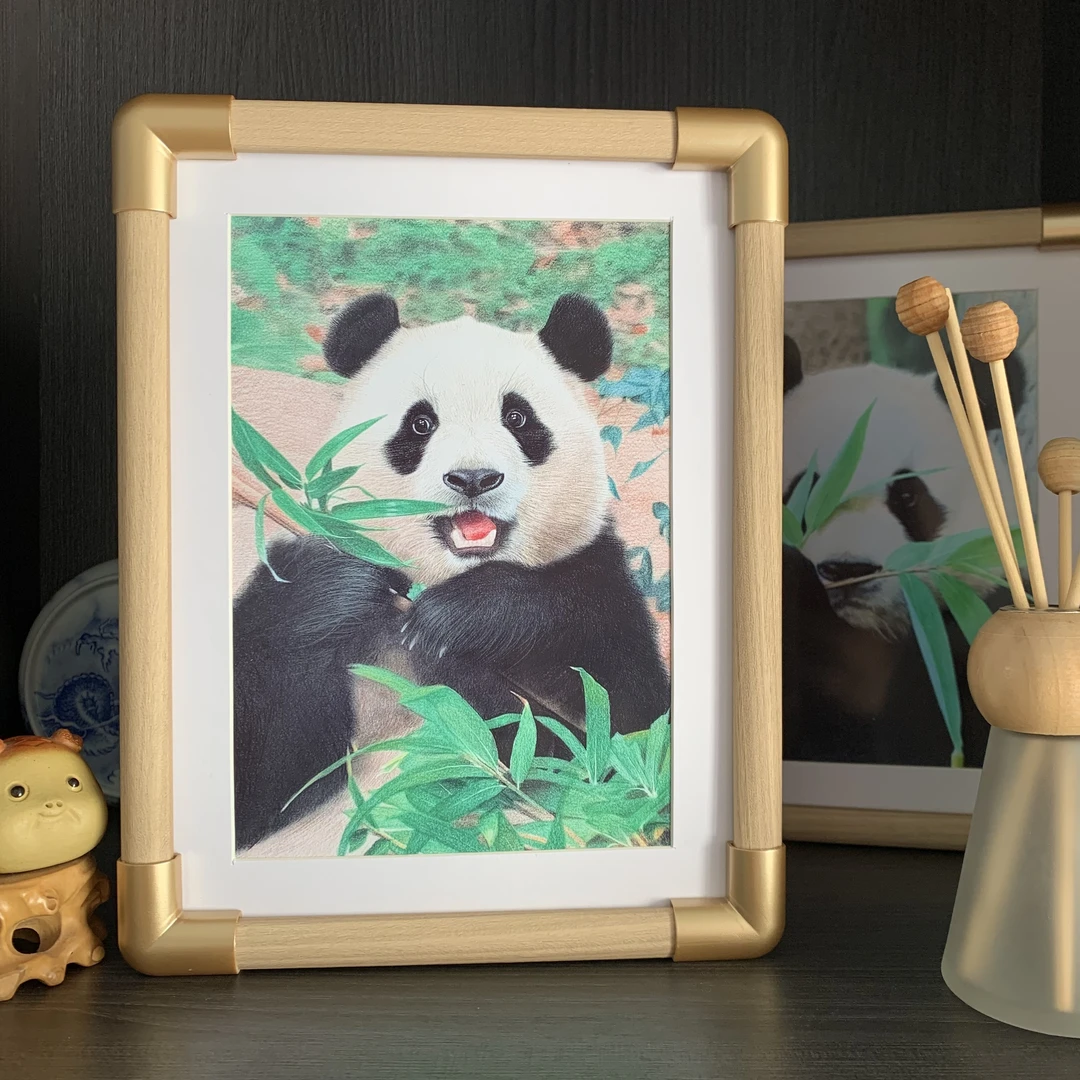 【熊猫福宝绘画主题相框】文创摆台周边家居装饰摆件八寸画框照片墙