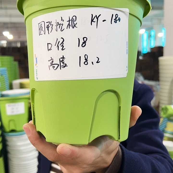 正品圆控口18高18果绿8只无托