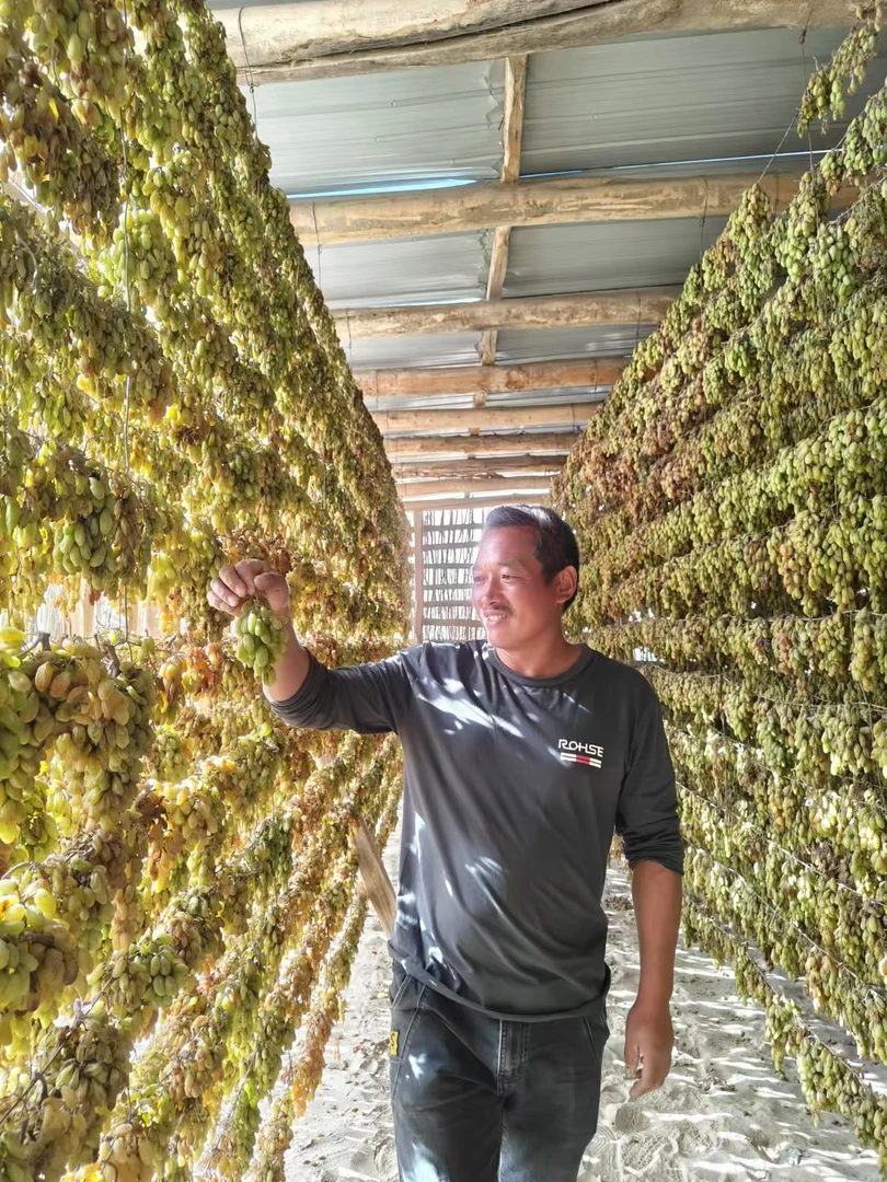 新疆特产绿香妃葡萄干2斤装产地直发包邮
