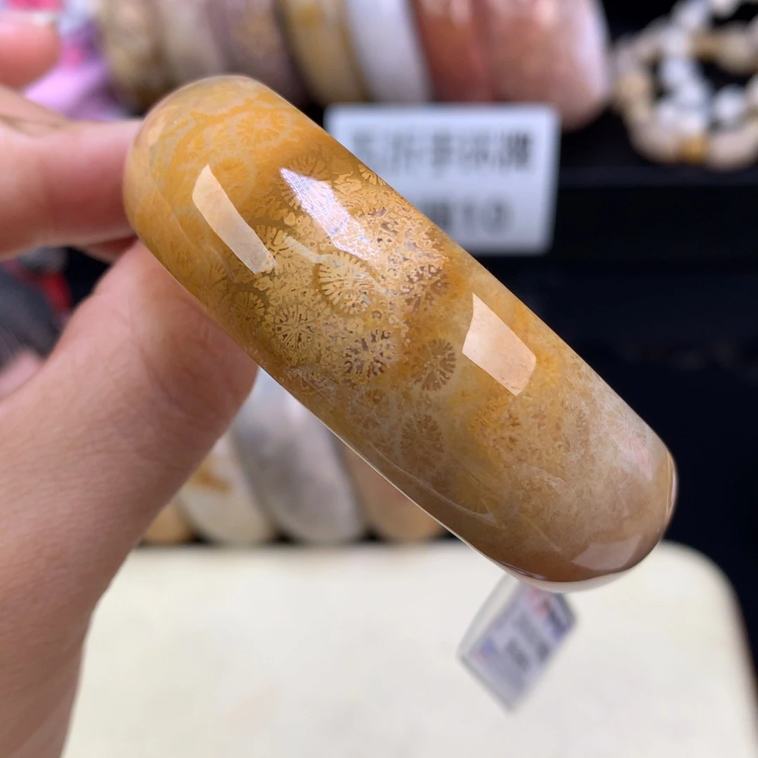 硅化珊瑚（珊瑚玉）未镶嵌颈饰福利手镯51.9圈（5号）