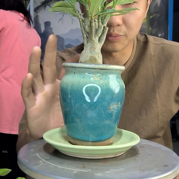 用****4中青园艺一物一拍141