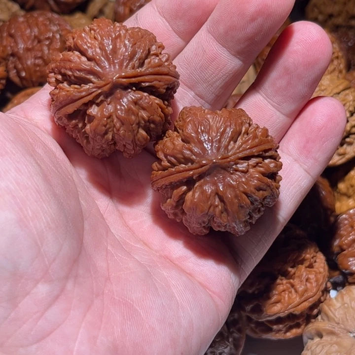 不***话文玩核桃把件狮子头核桃