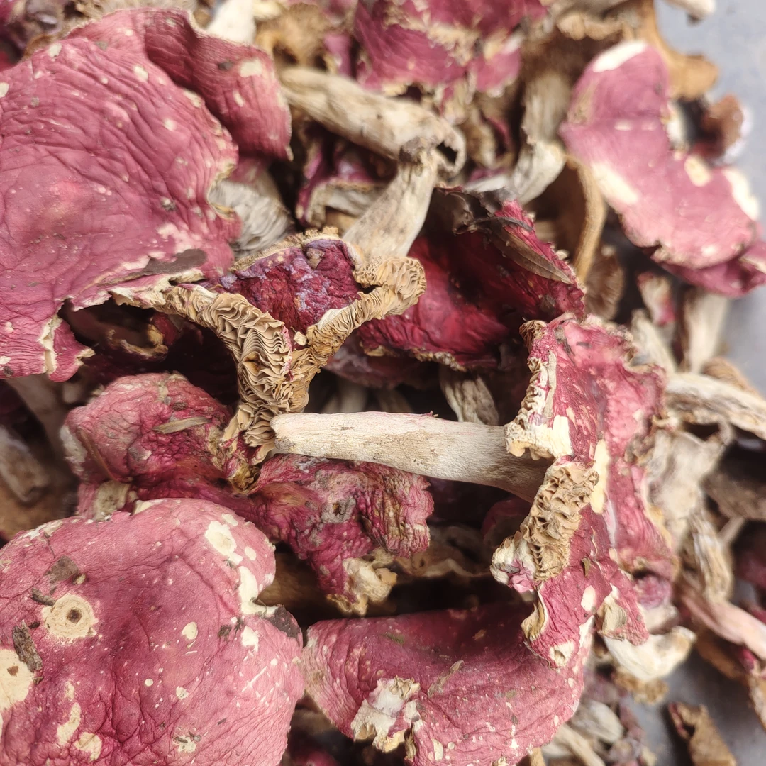 万源特产野生红菇大片，煲汤山珍食材