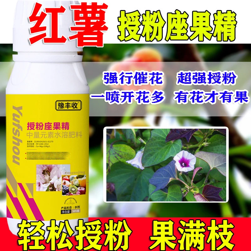 红薯授粉药红薯授粉剂座果精红薯授粉座果精促花膨果花果素防落