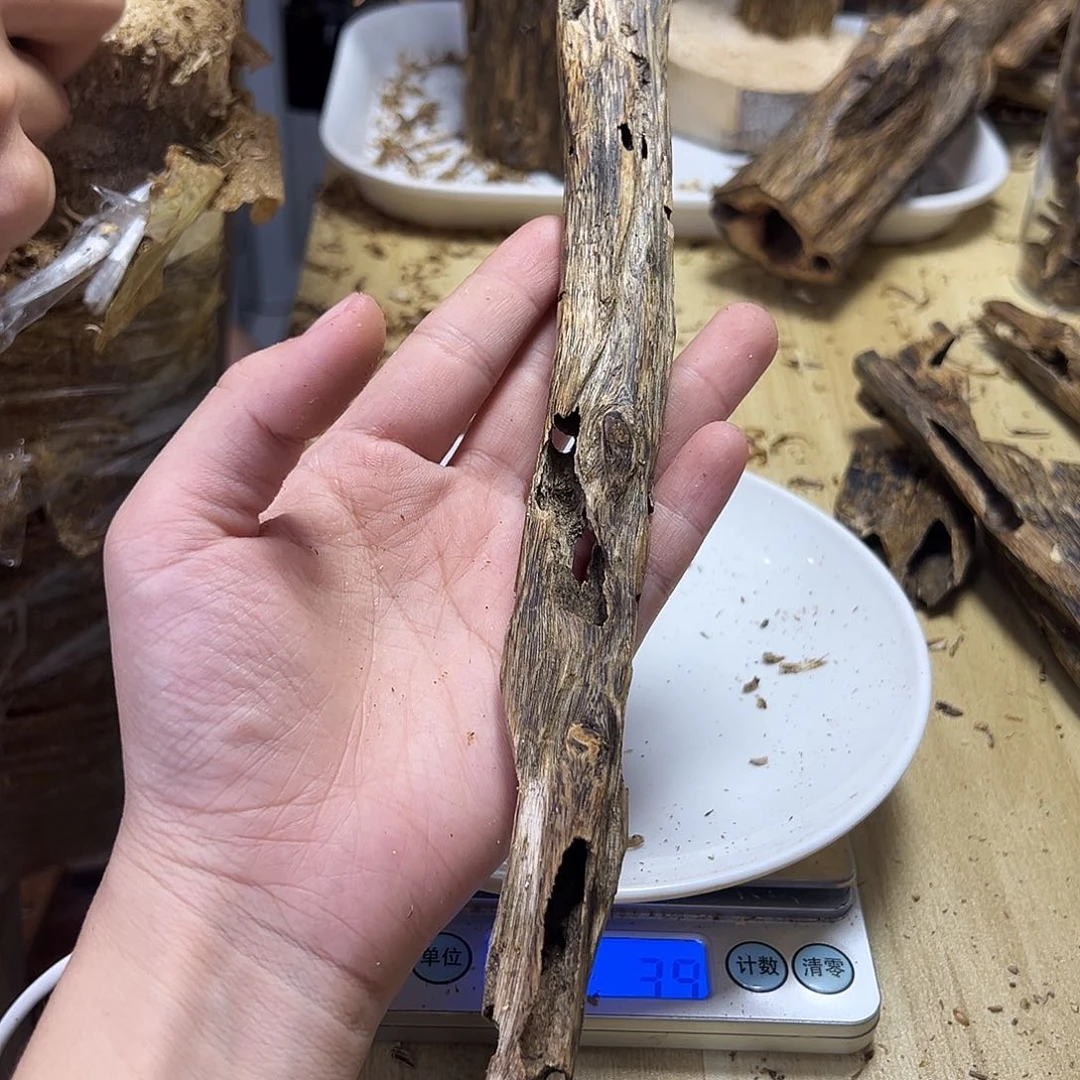 木绿奇楠虫漏19克