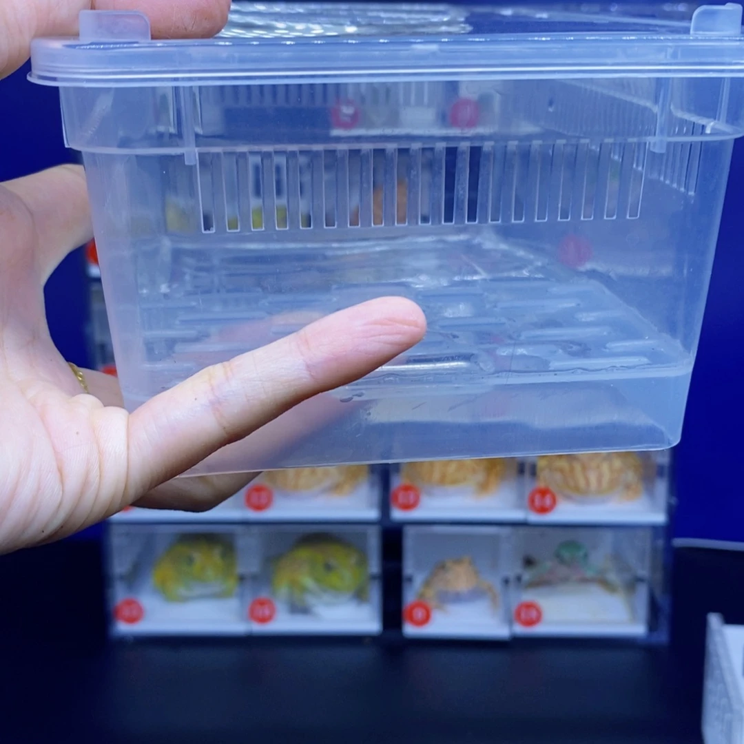 角蛙角蛙盒子随蛙拍闪购专享链接单拍不发