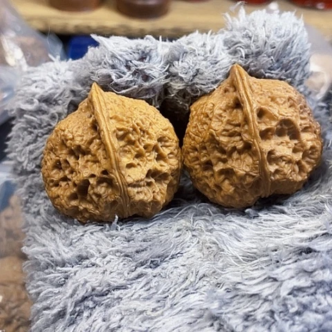 文玩核桃把件朱雀带彩37