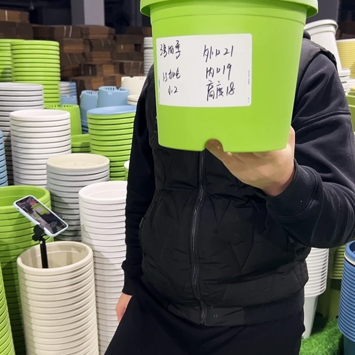 特价3号口21高18果绿色10只无托