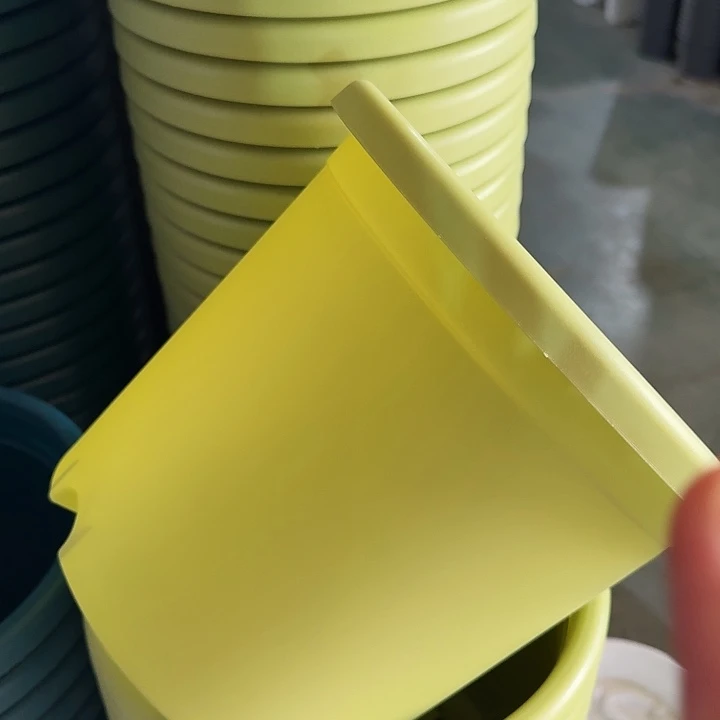 四季4号果绿带托10套特价