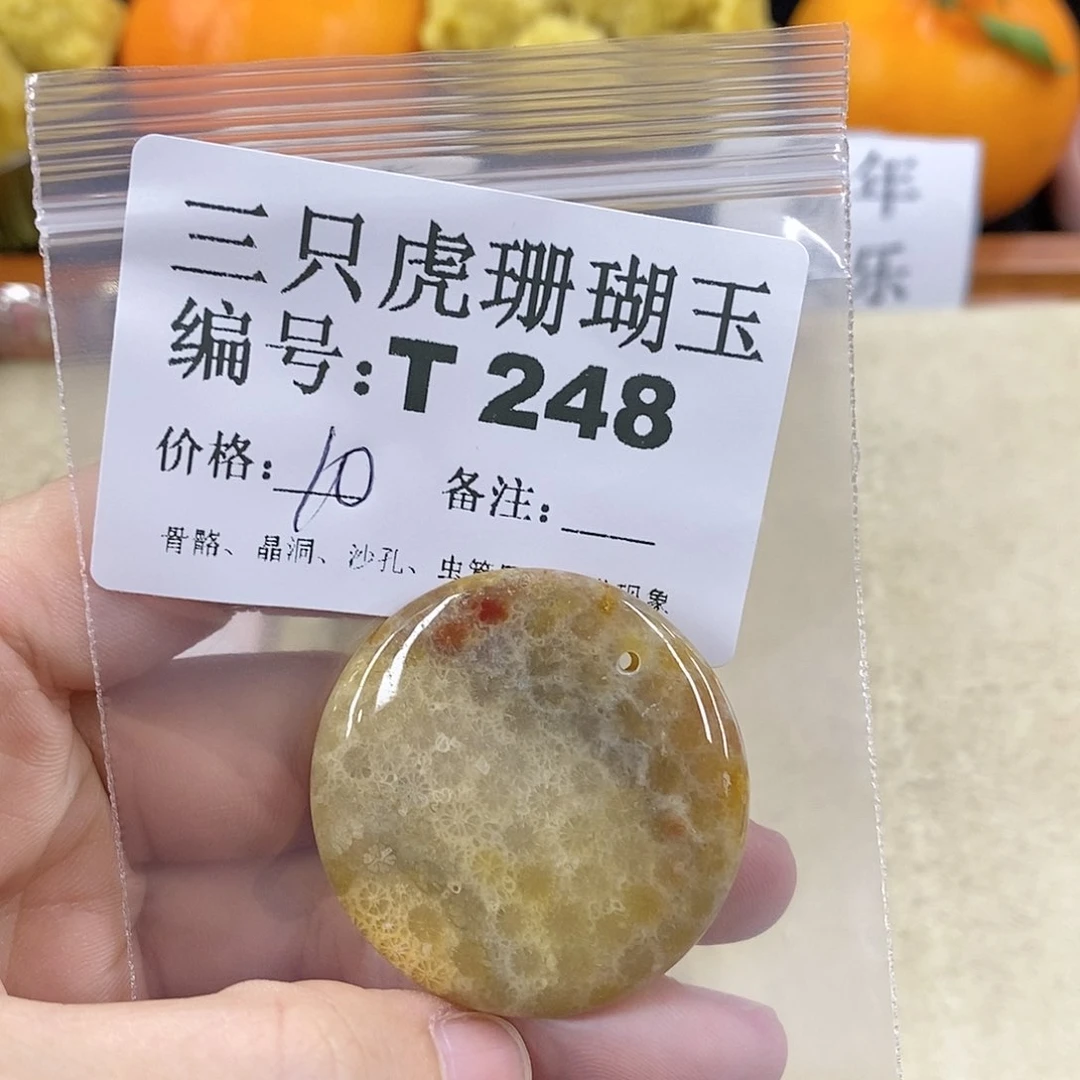硅化珊瑚（珊瑚玉）1未镶嵌飘
