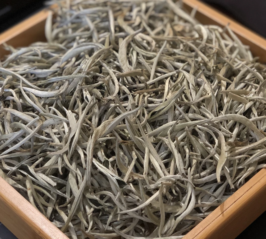 云南白茶白毫银针头春 花香毫香