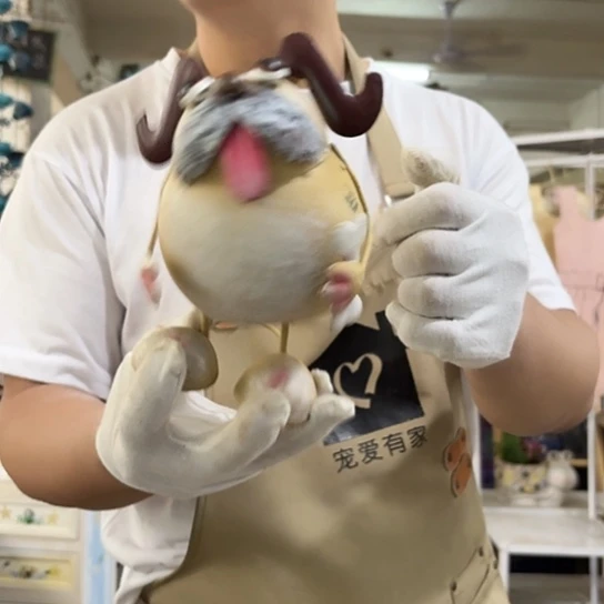 核桃木/黑胡桃（胡桃木）