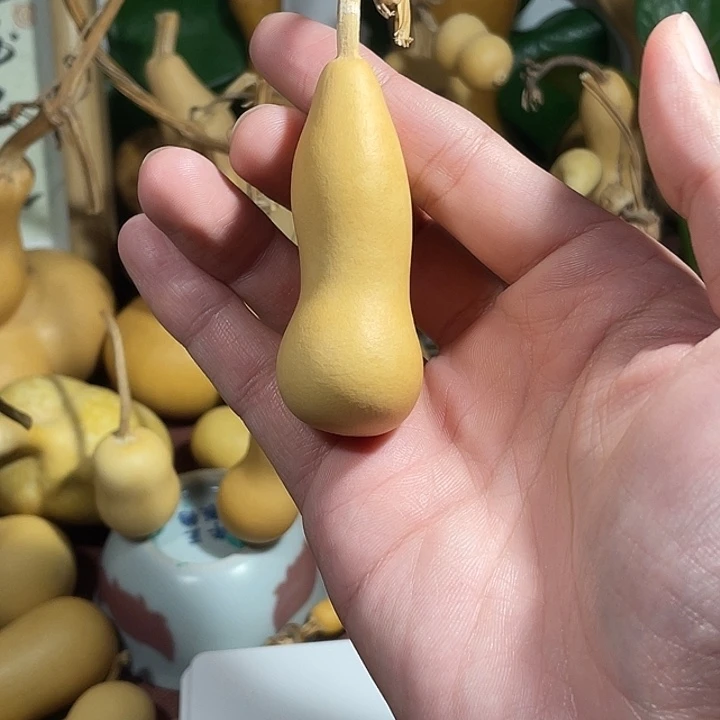 太***旅本长，，，，，，，6.9，，，，