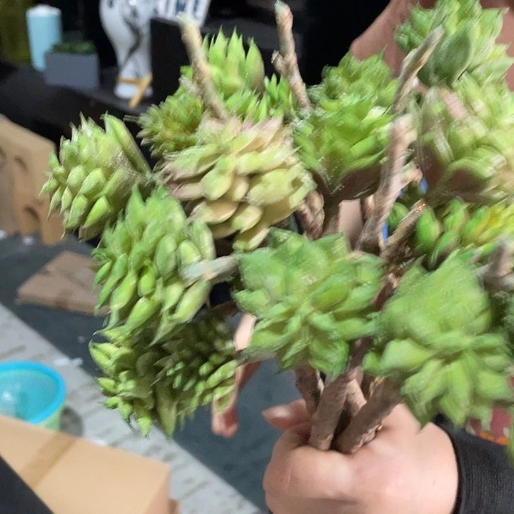 陶瓷花瓶，部分微瑕