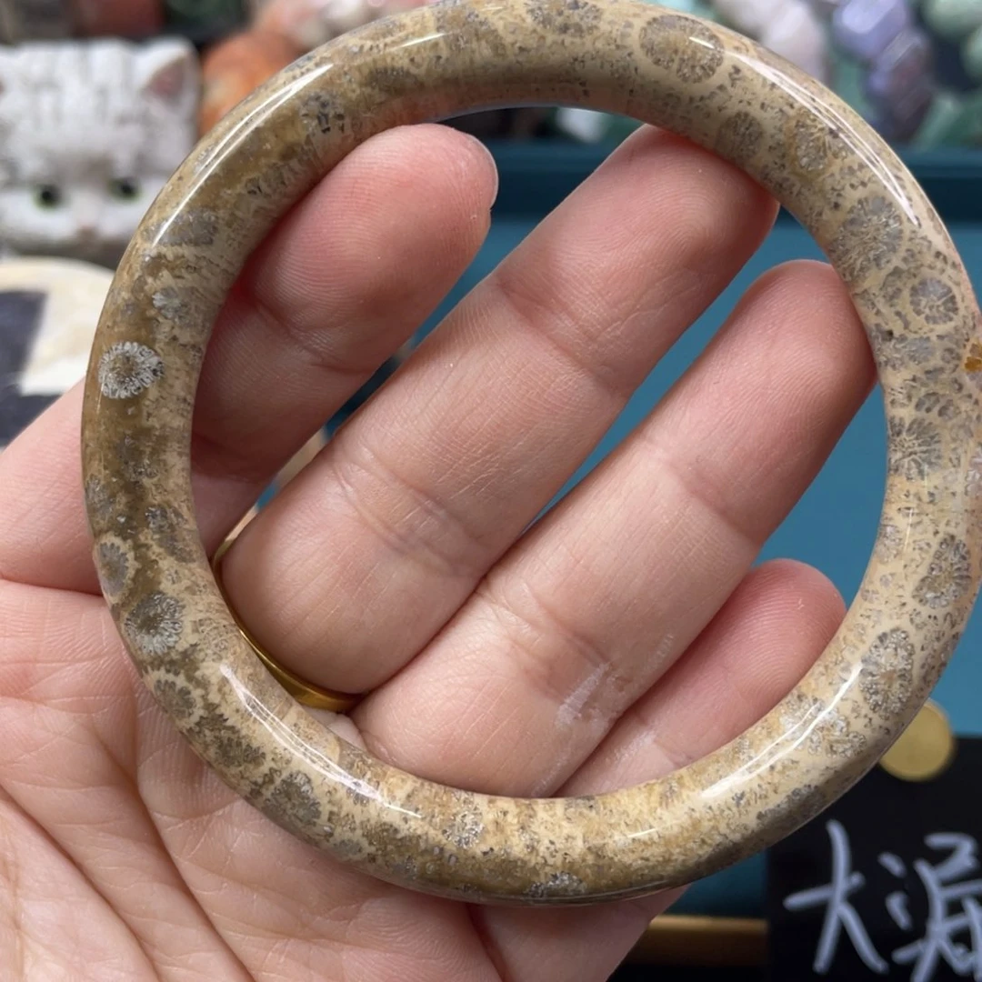 未镶嵌手镯硅化玉