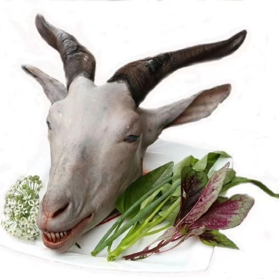 新鲜现杀广西正宗黑山羊羊头