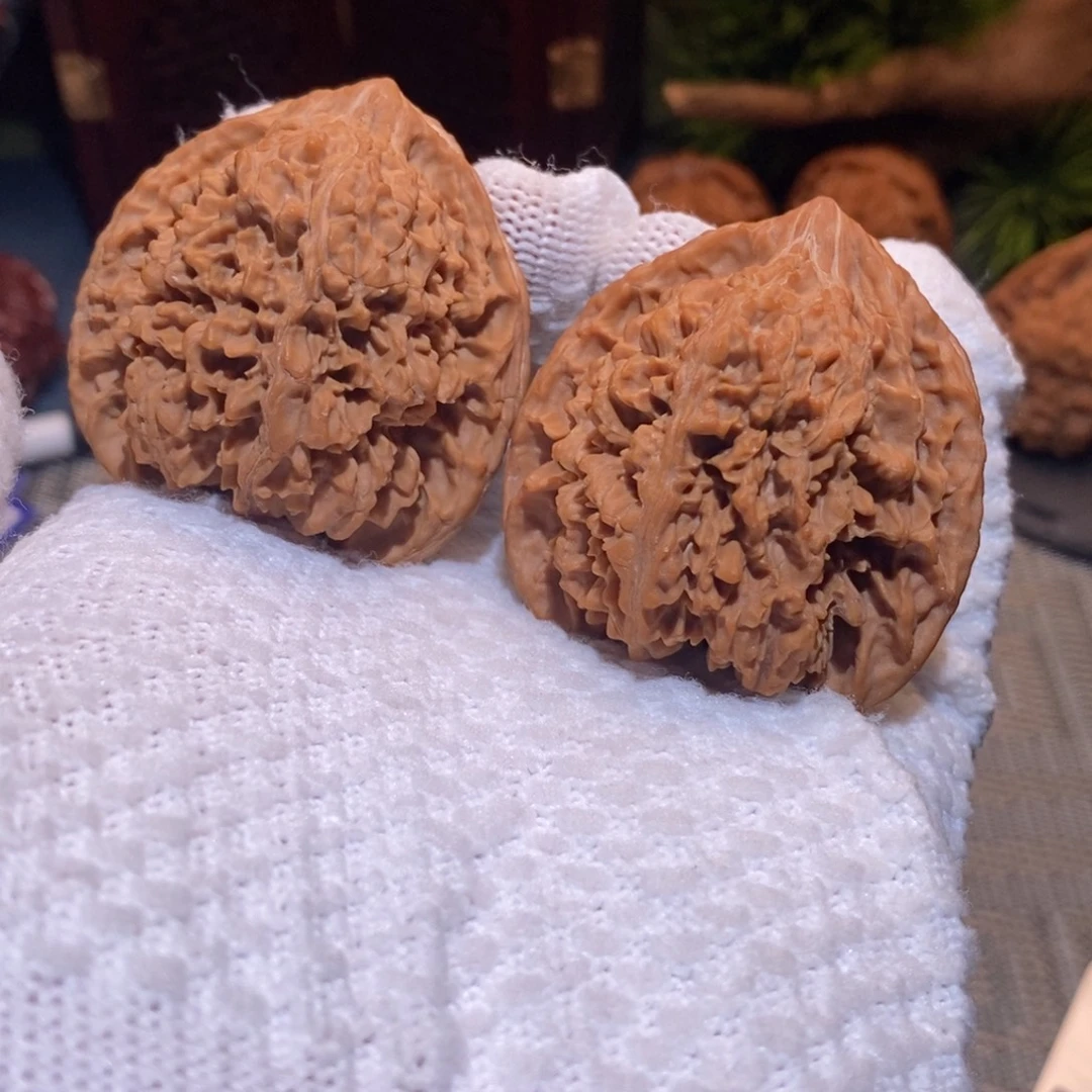 46尺 全品无修白茬 满天星