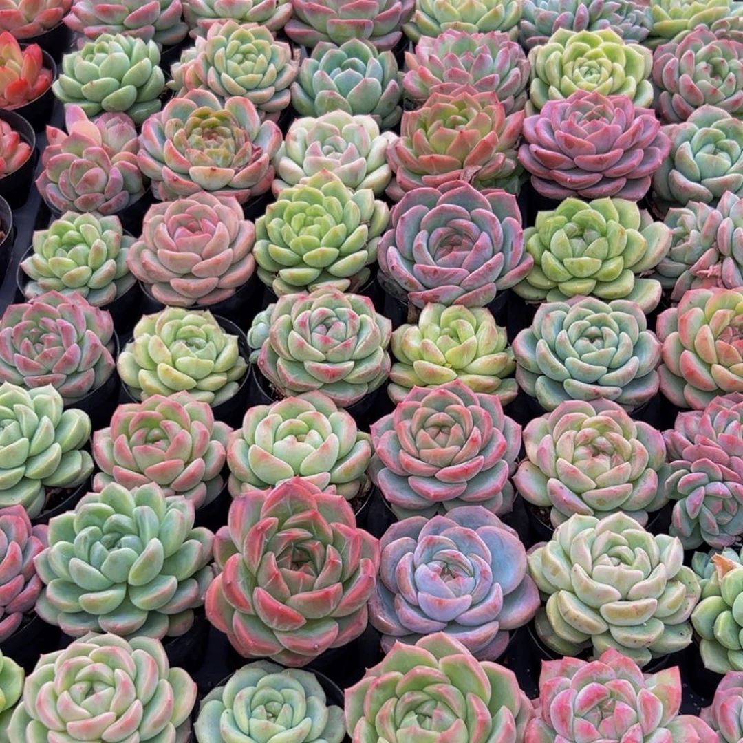 210的最后几个小时里你