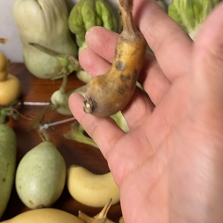 玩***妈青皮葫芦手把件摆件
