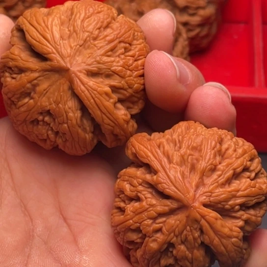 文玩核桃把件秦岭山脉核桃
