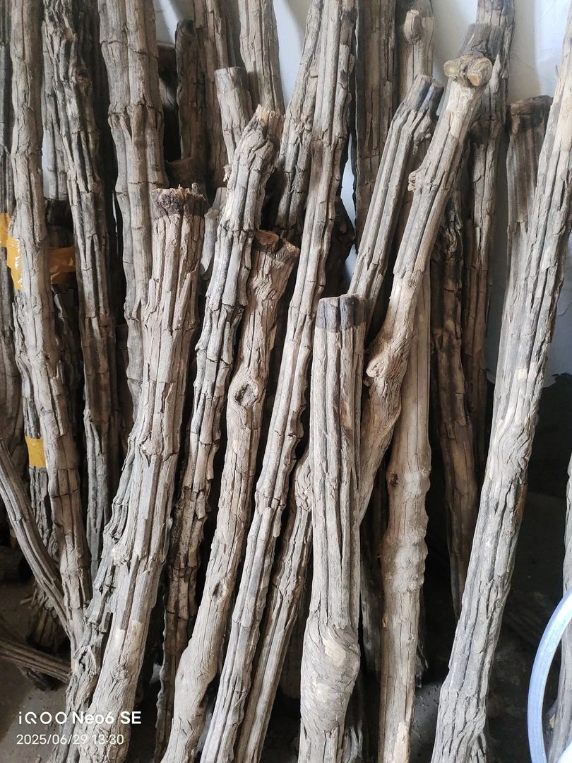 太行山六道降龙木