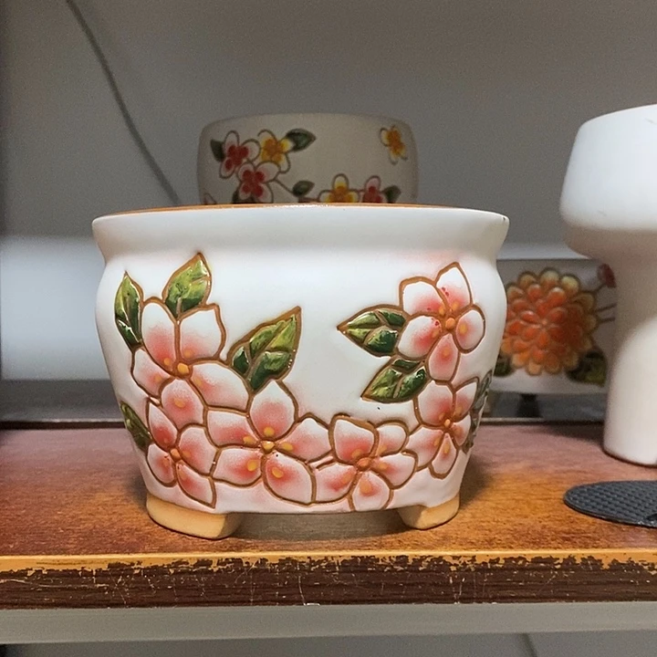 韩式多肉植物花盆