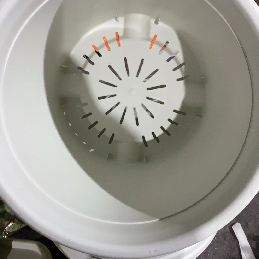 4个32口奶白无托伊特