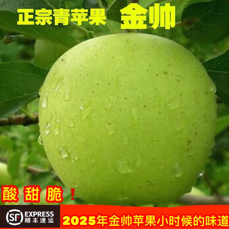 山东金帅青苹果金帅苹果麻点苹果应季新鲜水果5斤