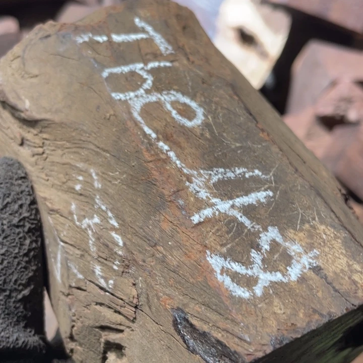 T***t交趾黄檀（大红酸枝）