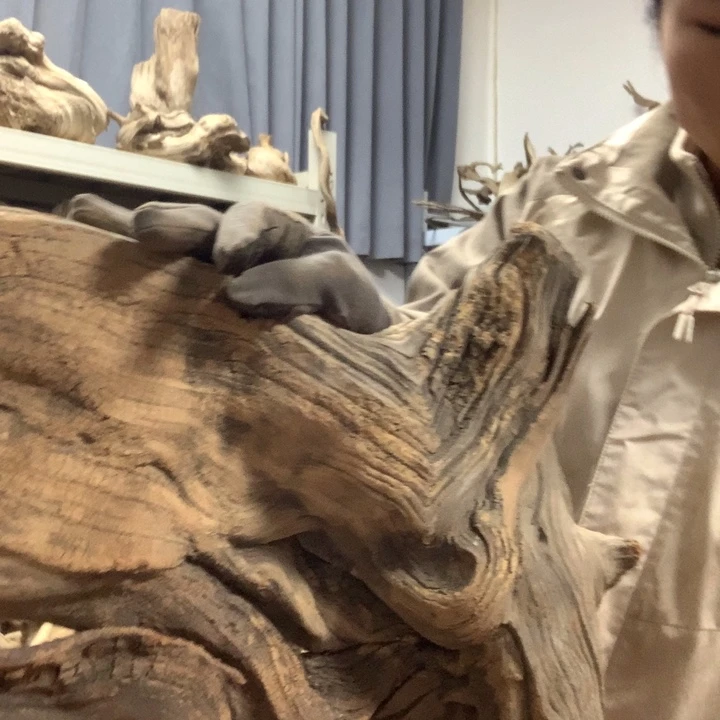 路***r木太行崖柏毛料板根