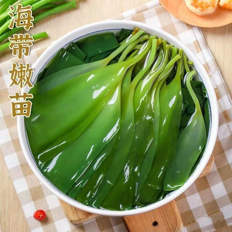 霞浦新鲜海带苗营养减脂适合凉拌火锅煮汤的食材