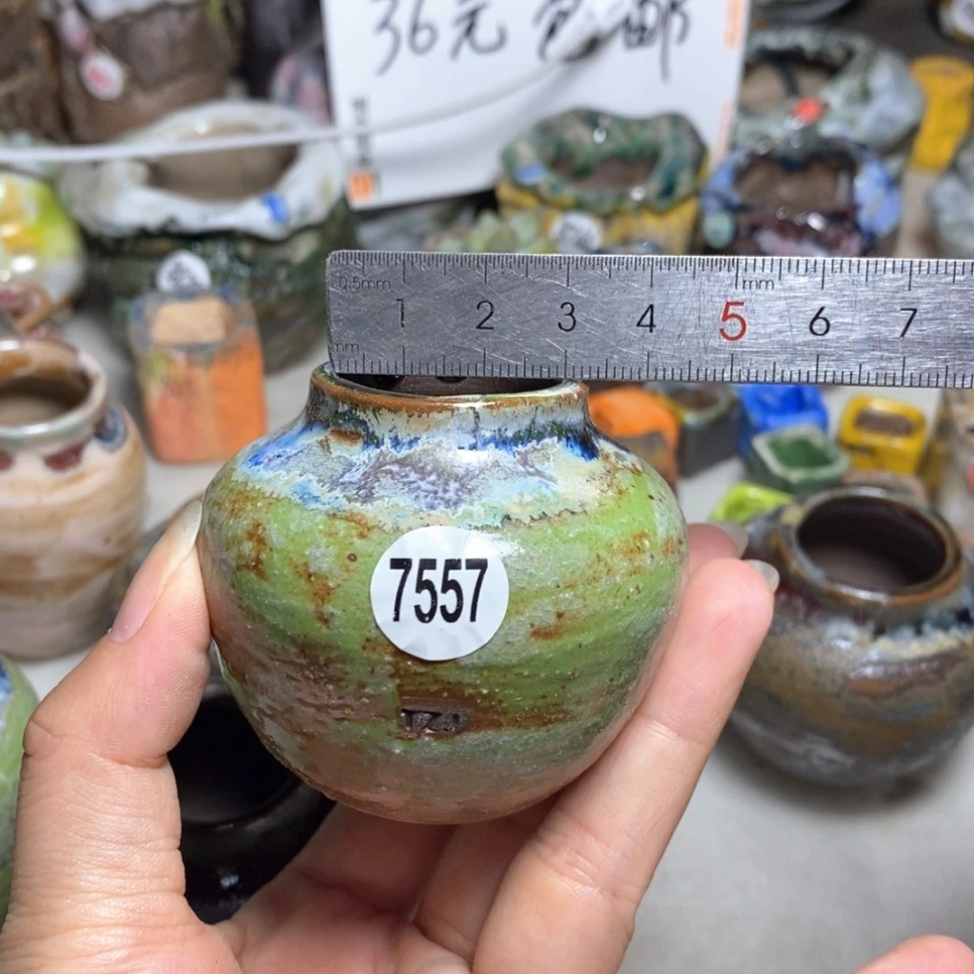 拍5送一个小礼物